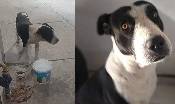 Abigail Castro recounts to Bunko how Man...