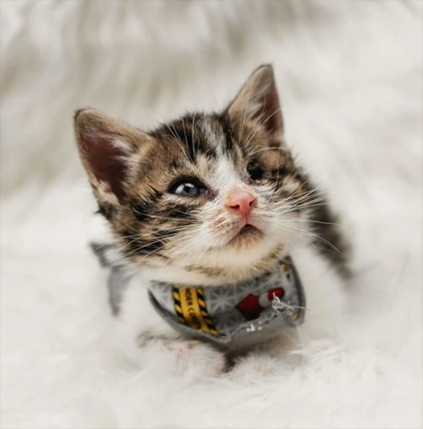 Though they hadn't planned to find a one...