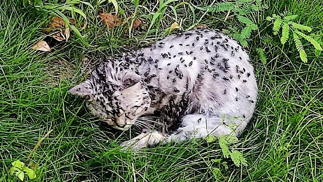 The situation worsened when I noticed it...