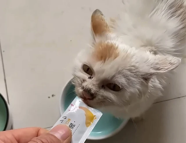 Extra image from article