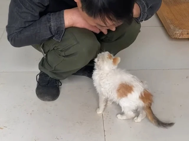 Extra image from article