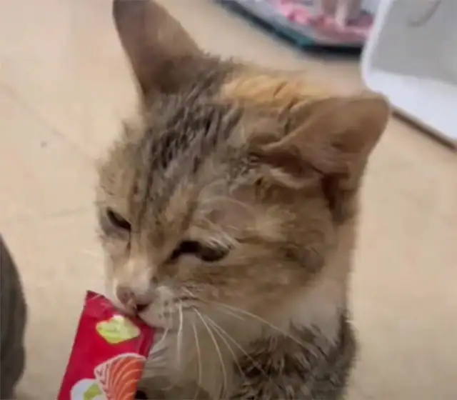 The road to recovery was expected to be ...