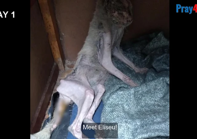 Recovery was painstakingly slow, yet fil...