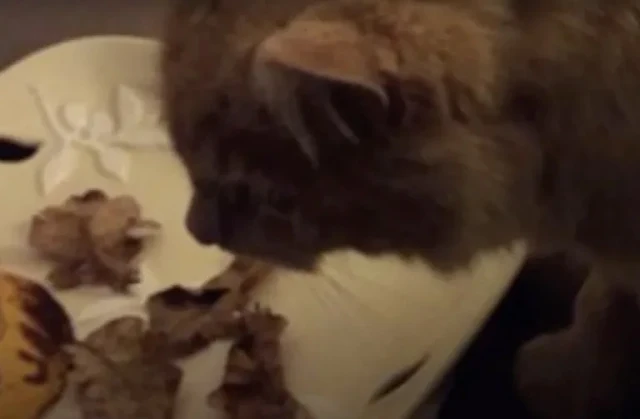 With a satisfied expression, he handed t...