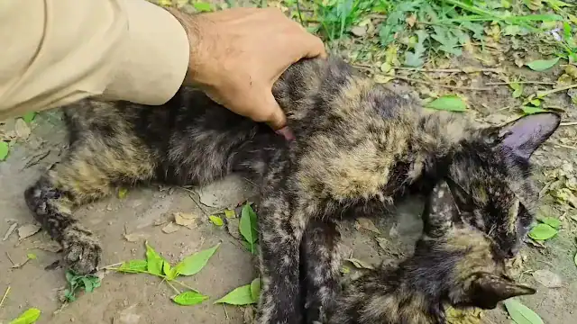 Rescuers are hopeful that they can provi...