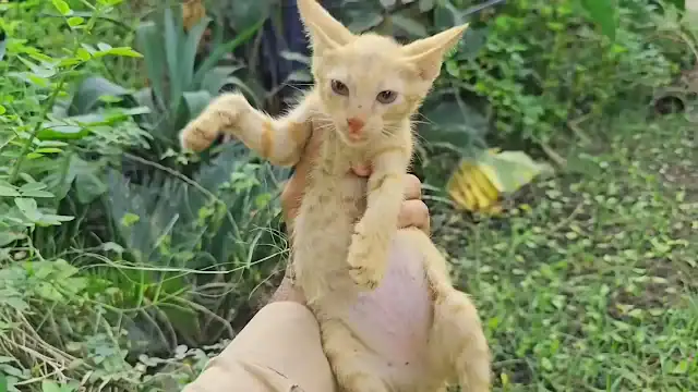 Keeping an eye on their situation is ess...