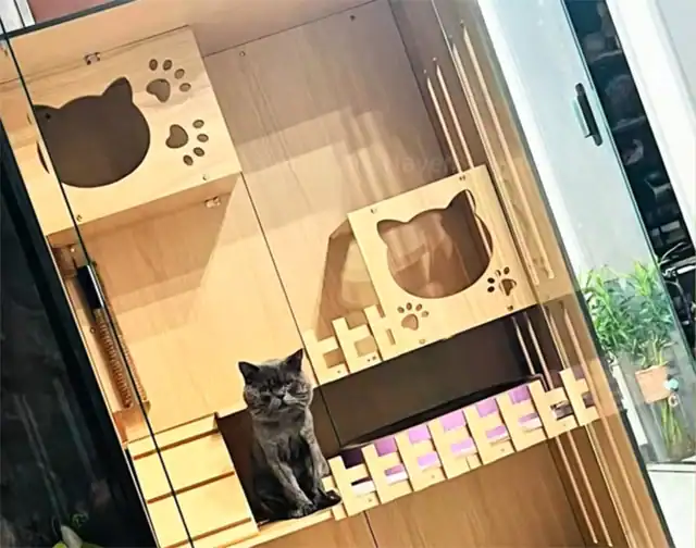 Extra image from article