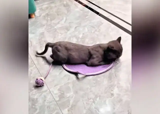 Extra image from article