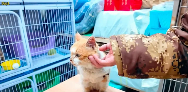 Seeing him rest calmly in her arms was t...