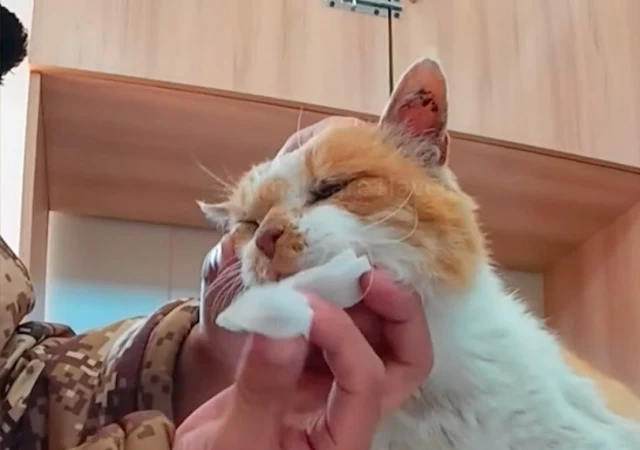 The trip to the hospital was emotional, ...