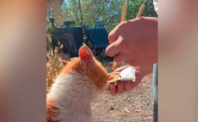 His relentless spirit shone through, eve...