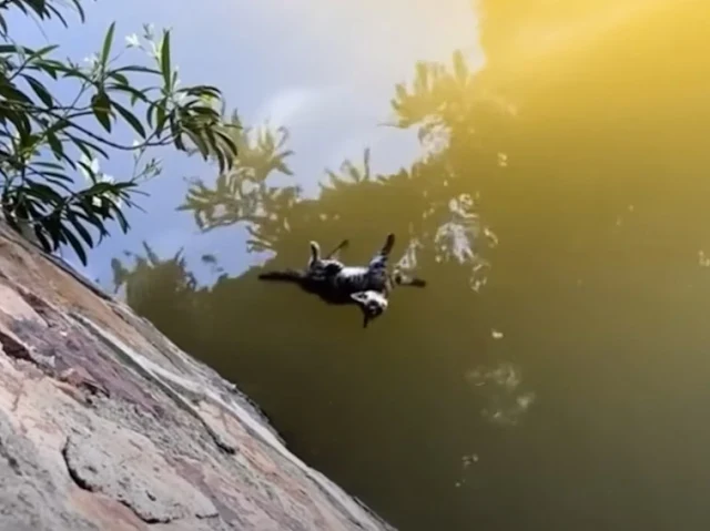 The chill of the lake hit Felix with the...