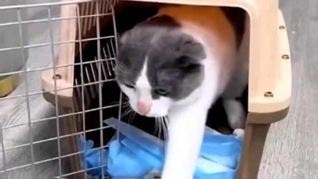 Determined to make a difference, Sarah l...