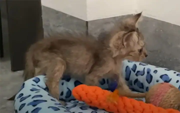 Thanks to her kindness and willingness t...