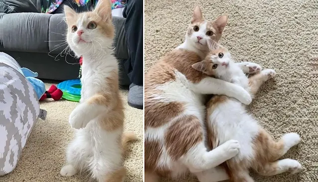 After several days of getting accustomed...