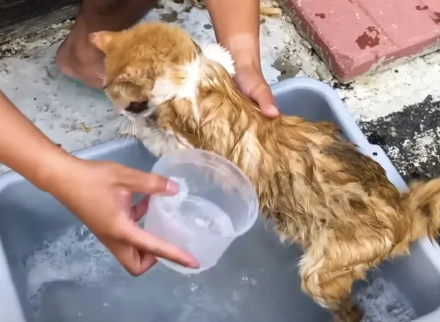 The path to recovery was not without its...