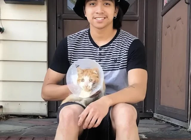 Extra image from article