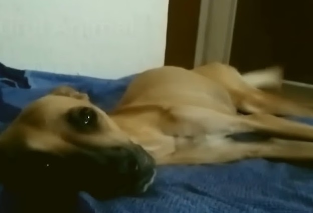 Finally, Eva’s perseverance paid off. Sh...