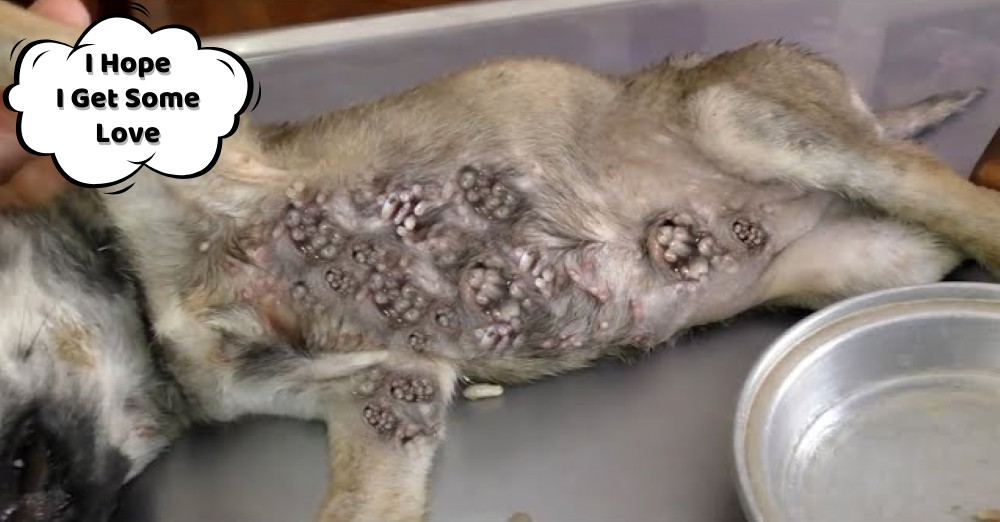 To combat these threats, committed careg...