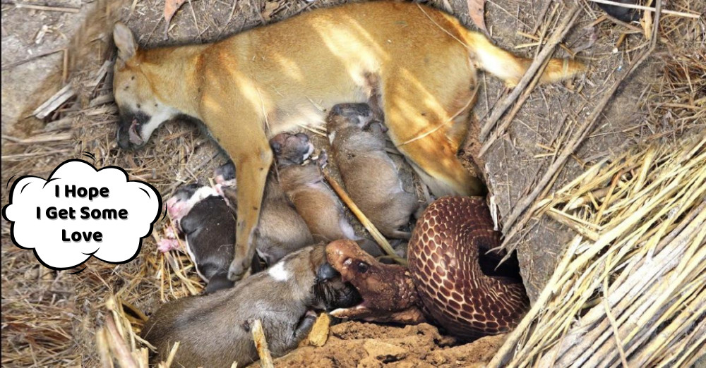 The mere sight of a snake is enough to t...