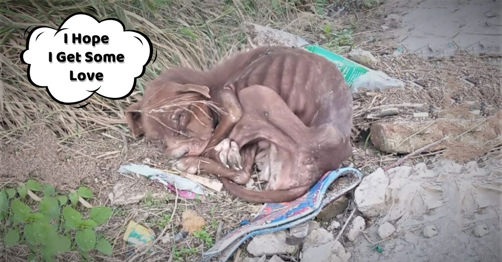 Aware of the pressing need for swift med...