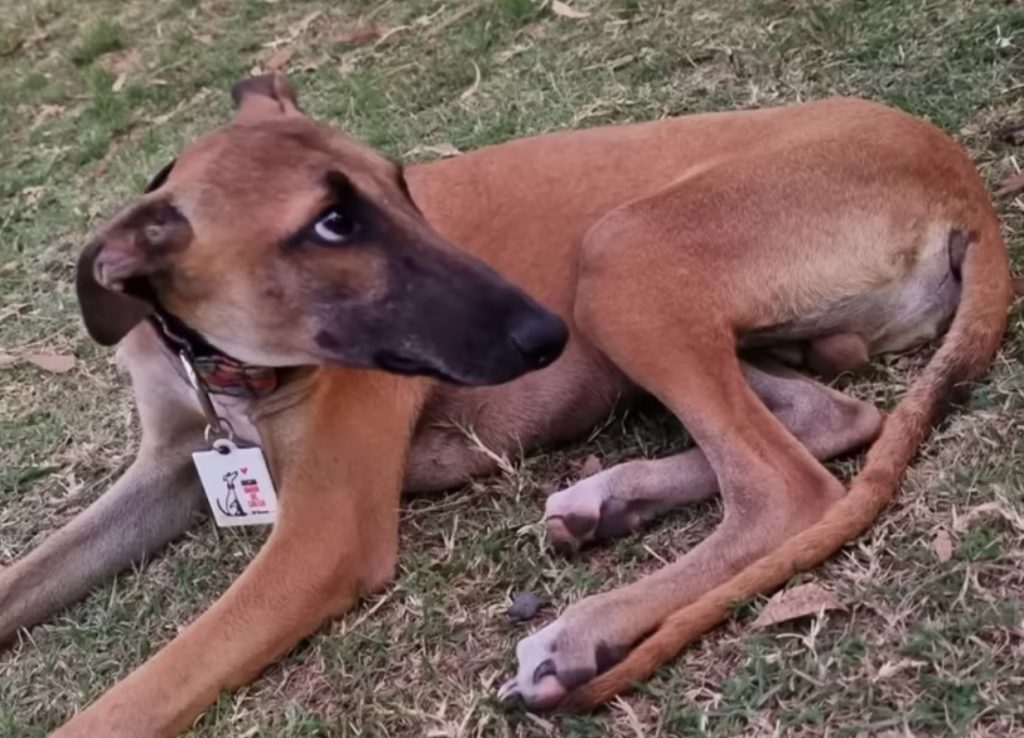 Extra image from article