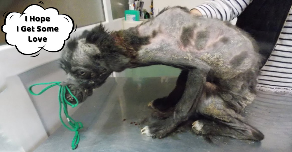 Despite everything, Isumu's eyes still h...