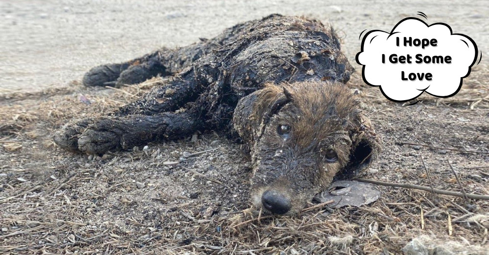 Every breath was a challenge as she lay ...