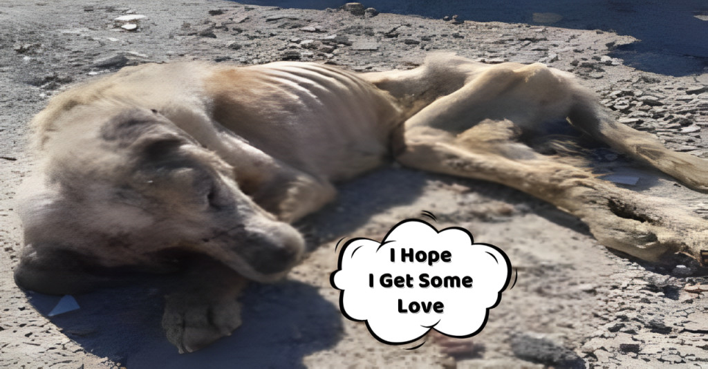 Despite Ragnar's critical state, his res...