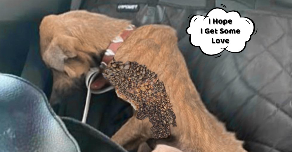 Living in harsh conditions, Joo survived...