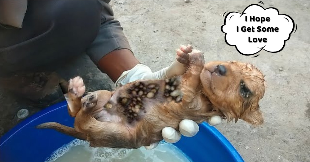 Our first priority was to gently remove ...