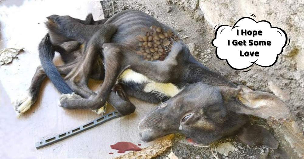 Recognizing the urgency of the situation...