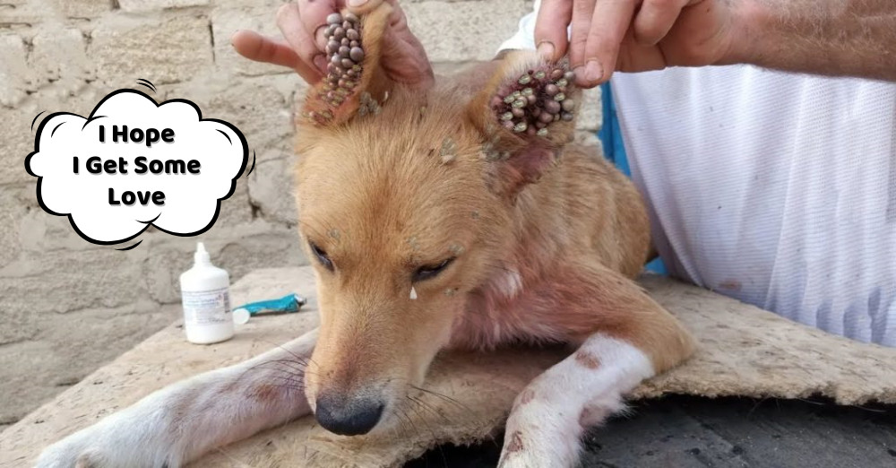 Whenever she passes by the area, she fee...