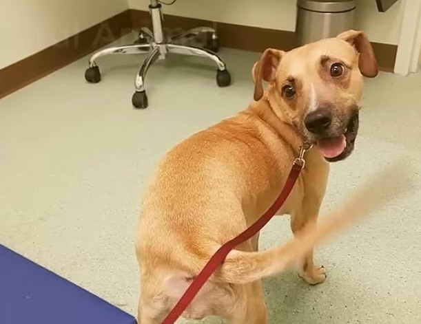 Extra image from article