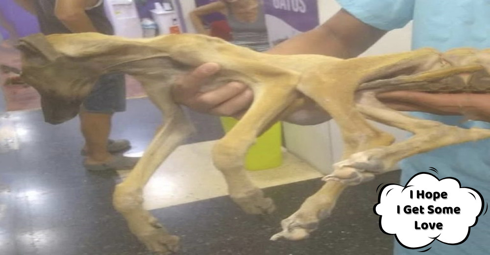 Despite the overwhelming burden of his c...