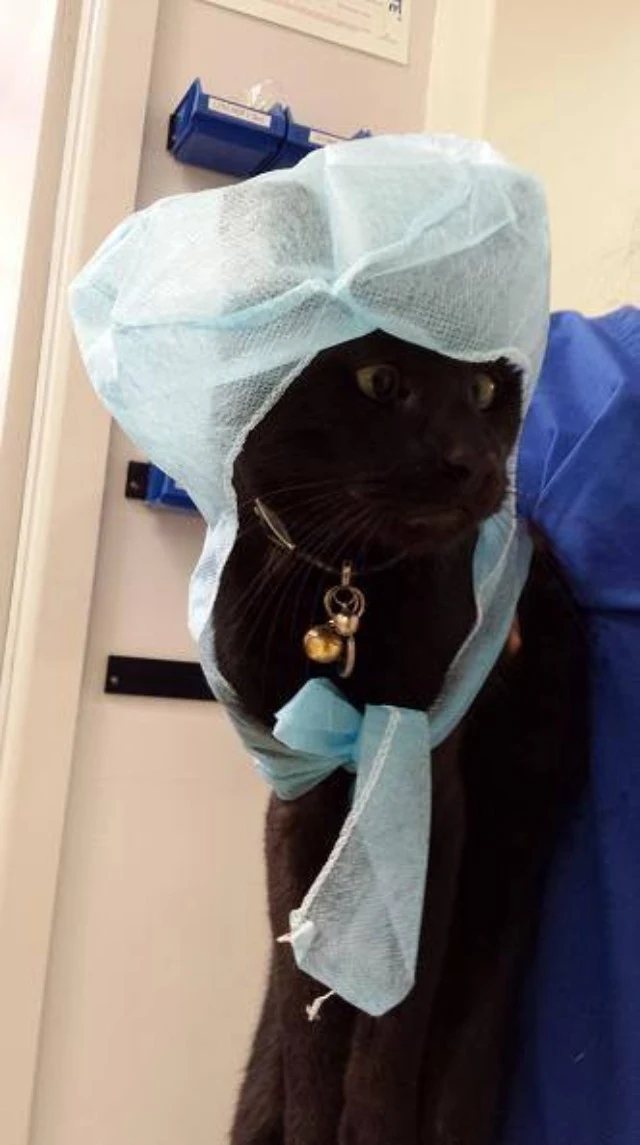 Extra image from article