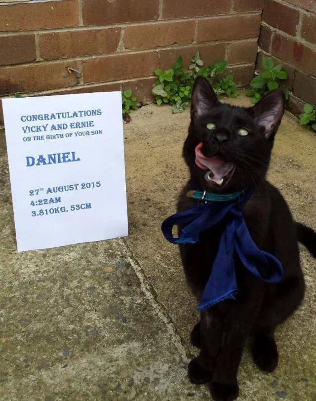 Extra image from article