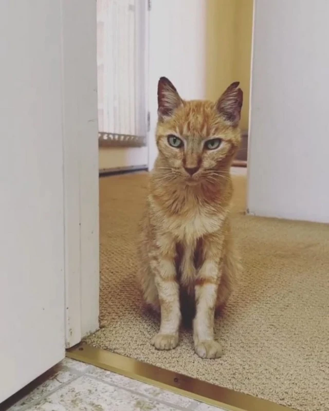 Aware of his inability to mix with other...