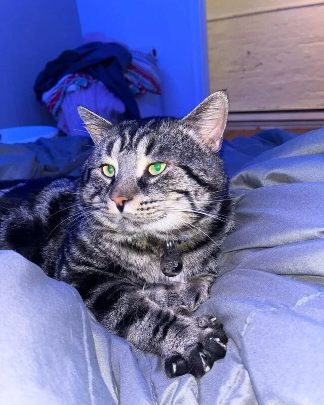 Extra image from article