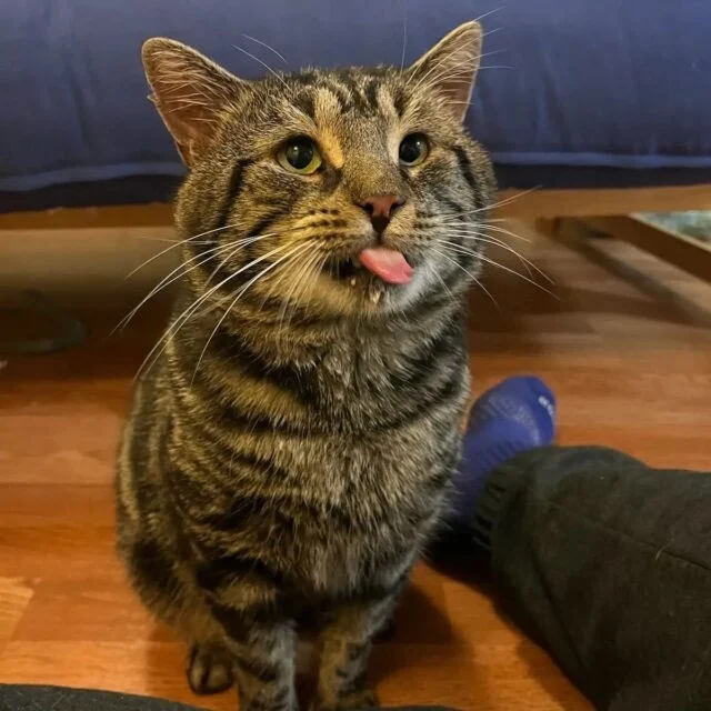 Extra image from article