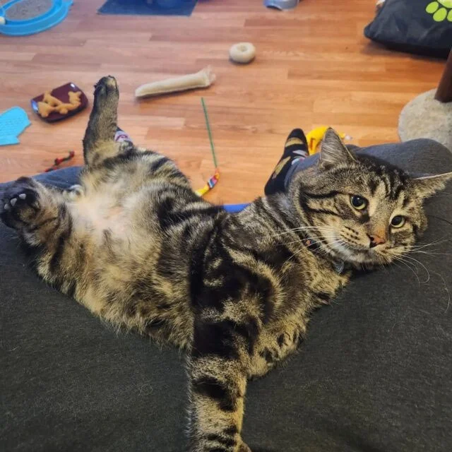 Extra image from article