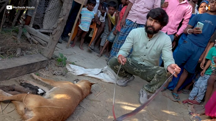 Extra image from article