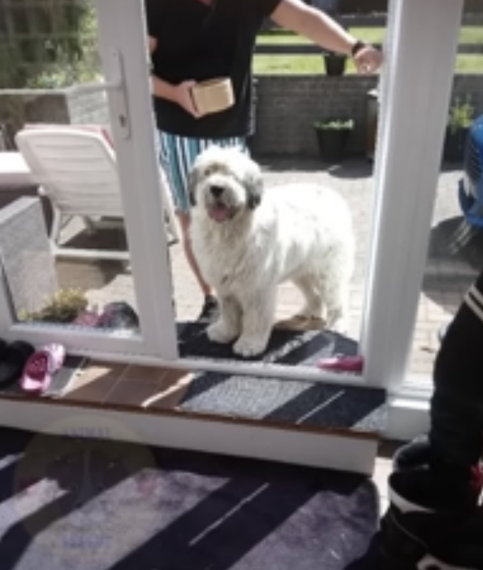 Extra image from article