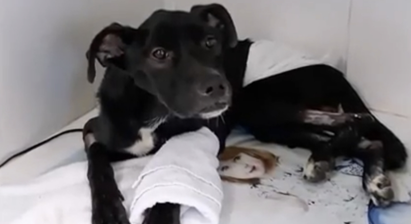 Extra image from article