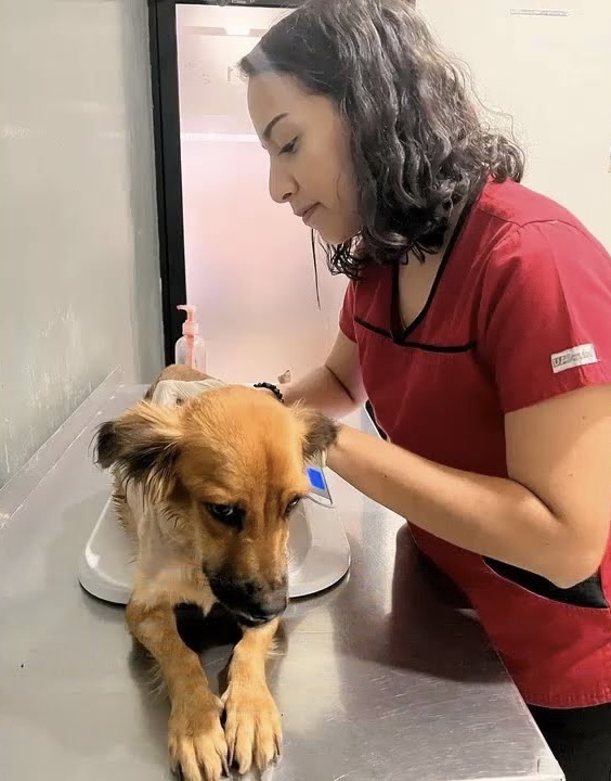 Extra image from article