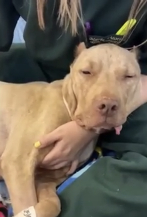 Then came a joyous moment: Elena surpris...