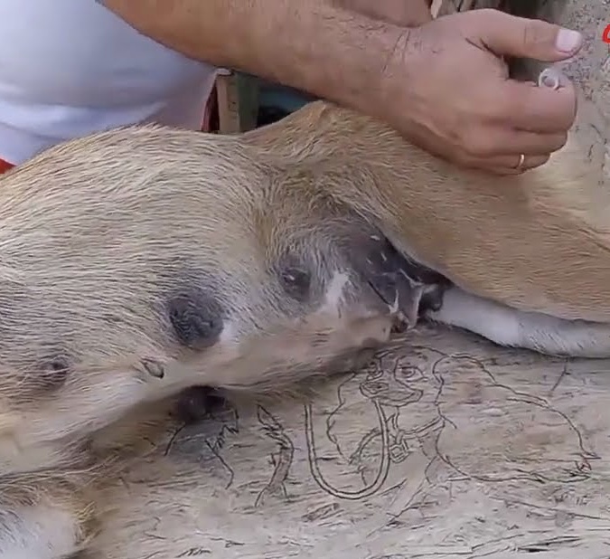 Extra image from article