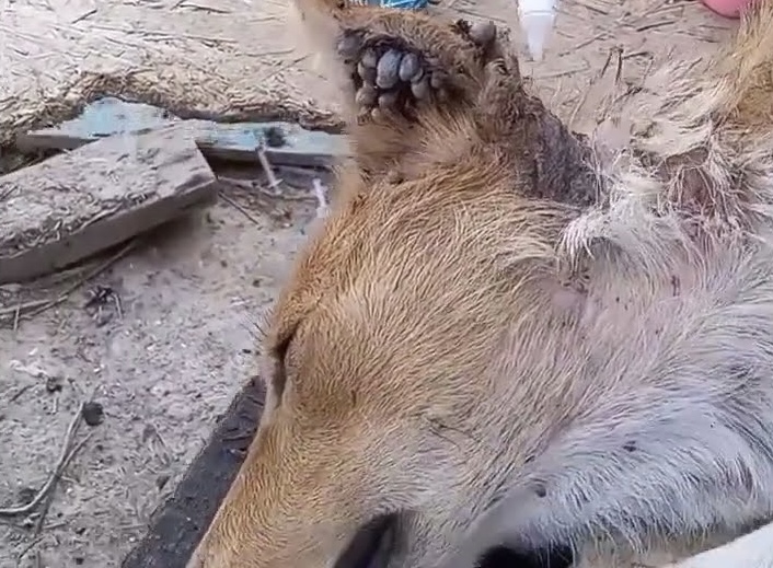 To be continued......