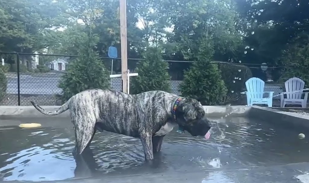 Extra image from article