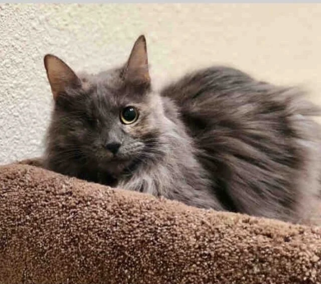 When they finally met, it was an instant...